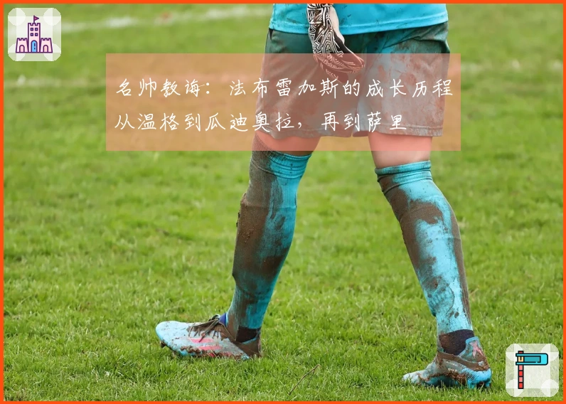 名帅教诲：法布雷加斯的成长历程从温格到瓜迪奥拉，再到萨里